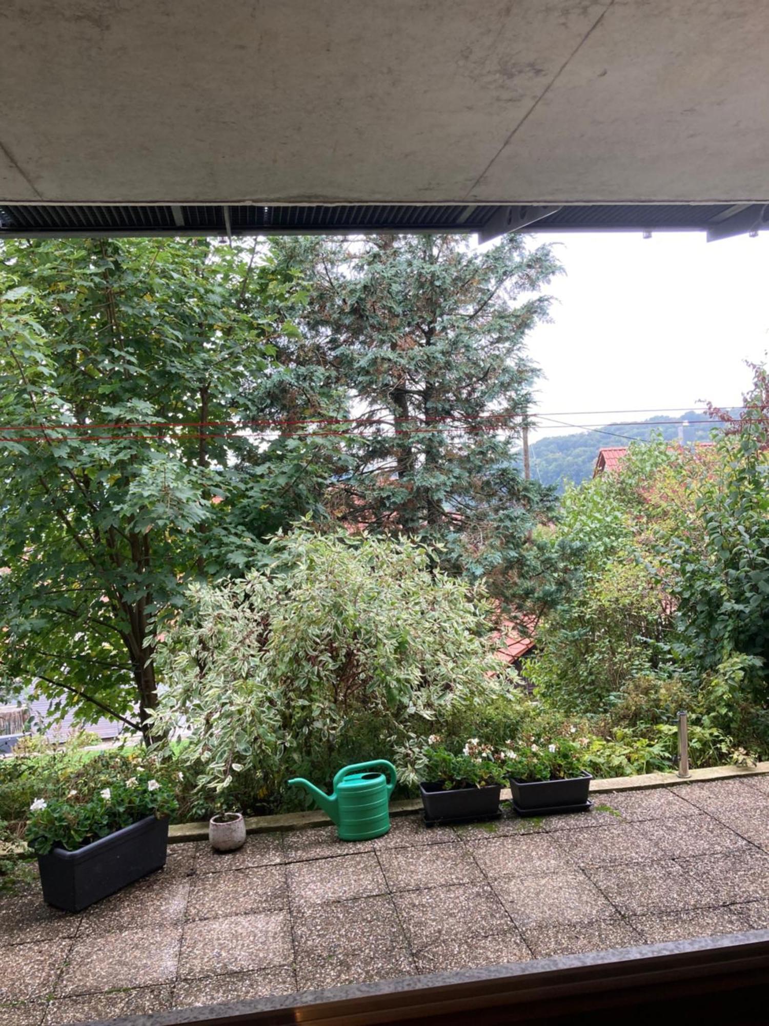 Lichtdurchflutete Ferienwohnung Sankt Johann  Extérieur photo
